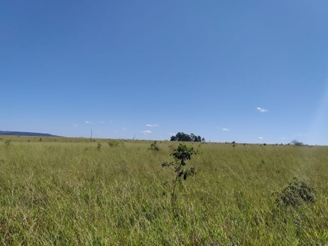 Fazenda com 17000000m² 1 quarto e 1 banheiro, à venda, no bairro Zona Rural em Alto Araguaia
