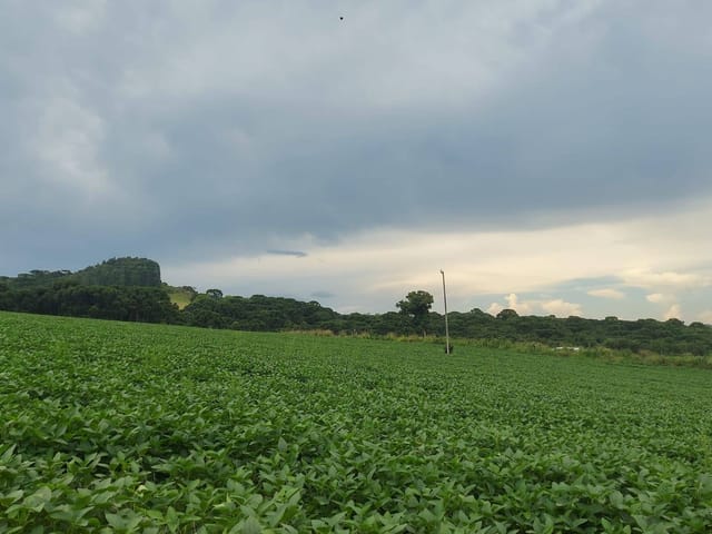 Foto do Fazenda - Lapa, Fazenda Extração de AREIA total estimado de 1.000.000 Toneladas,, 49.92 hectares ou 20,62 Alqueires à venda, Zona Rural, PR | Imobiliária GreenVille