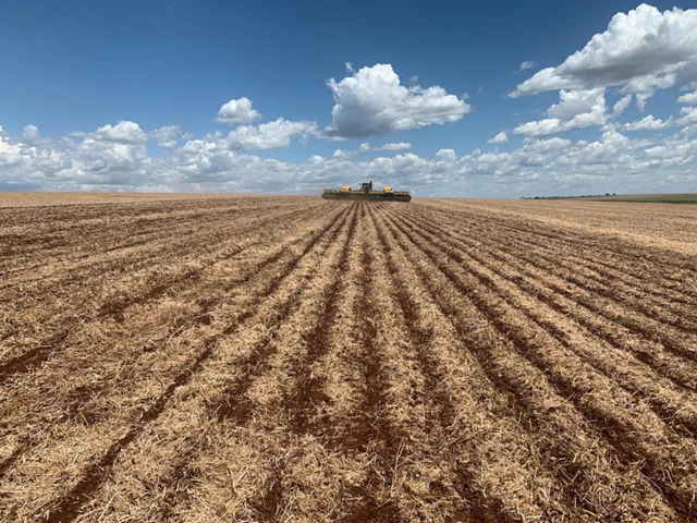 Foto do Fazenda - Mato Grosso/ Bonito/ Guia Lopes, Fazenda 2633 Hectares, Plantando 2.100 Hectares, de frente pra o Asfalto, à venda, Zona Rural, MS | Imobiliária GreenVille
