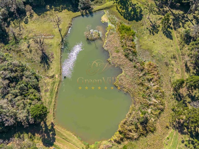 Foto do Fazenda - Tijucas do Sul, Fazenda 160 Alqueires, 367,10 há, Haras ou Loteamento, Casa sede 500m² venda, Zona Rural, PR | Imobiliária GreenVille