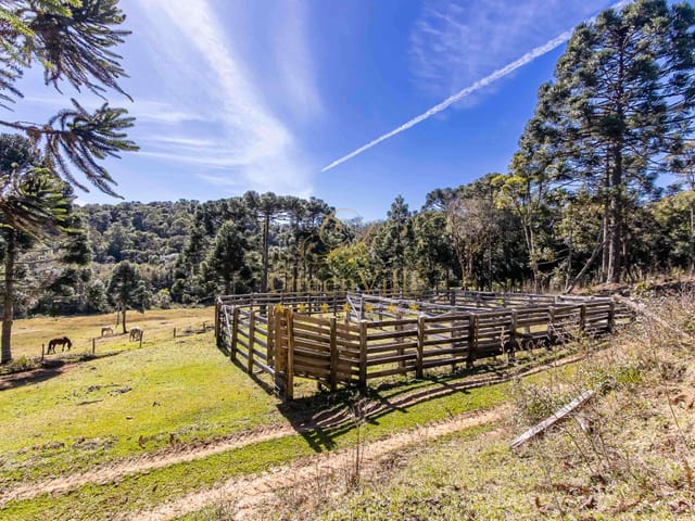 Foto do Fazenda - Tijucas do Sul, Fazenda 160 Alqueires, 367,10 há, Haras ou Loteamento, Casa sede 500m² venda, Zona Rural, PR | Imobiliária GreenVille
