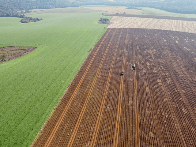 Foto do Fazenda - Maringá/ Astorga, Fazenda plana 600 hectares, ou 248 alqueires, Plantando 180 alqueires, próximo a rodovia à venda, Zona Rural, PR | Imobiliária GreenVille