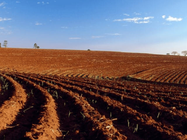 Fazenda com 6001600m² 3 quartos e 2 banheiros, à venda, no bairro Zona Rural em Maringá