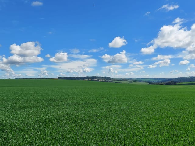 Foto do Fazenda - Porto Amazonas, Fazenda De Frente Rodovia, 287 Hectares, 118 Alqueires, Plantando 60%, Dupla Aptidão, à venda, PR | Imobiliária GreenVille