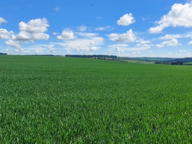Fazenda com 2879100m² 3 quartos e 1 banheiro, à venda, no bairro Zona Rural em Palmeira
