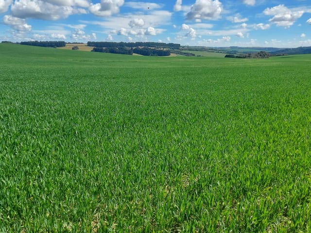 Fazenda com 2879100m² 3 quartos e 1 banheiro, à venda, no bairro Zona Rural em Palmeira