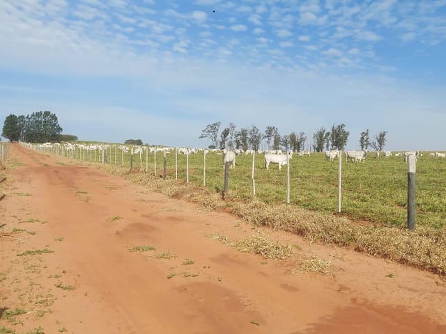Fazenda com 6243600m² 3 quartos e 2 banheiros, à venda, no bairro Área Rural em Cianorte