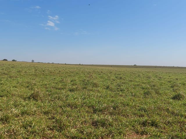 Fazenda com 6243600m² 3 quartos e 2 banheiros, à venda, no bairro Área Rural em Cianorte