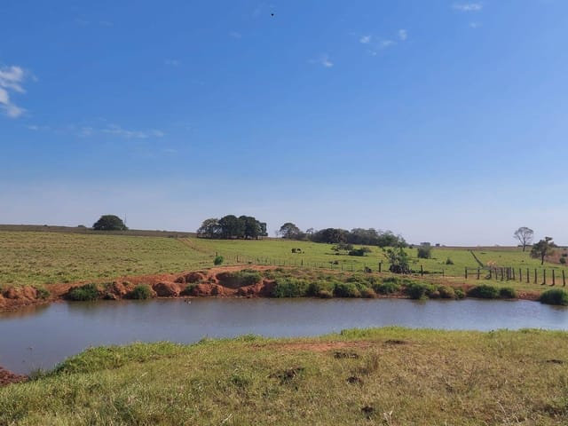 Foto do Fazenda - Maringá, Cianorte, Fazenda, 624 Hectares, 258 Alqueires, Cana e Gado, à venda, Zona Rural PR | Imobiliária GreenVille