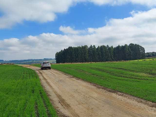 Fazenda com 2178000m² 1 quarto e 1 banheiro, à venda, no bairro Centro em Porto Amazonas