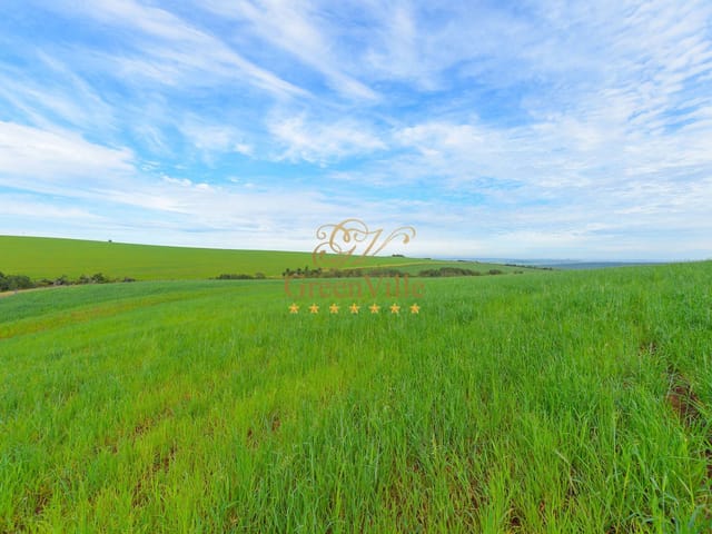 Foto do Fazenda - Canoinhas/SC, São Mateus do Sul/ PR/ Fazenda 528,56 há , 218 Alqueires, Plantando 400 hectares, à venda, Paraná | Imobiliária GreenVille