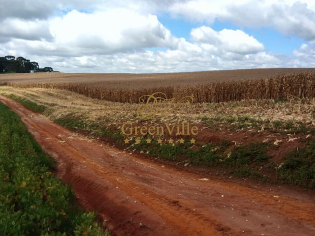Foto do Fazenda - São Mateus do Sul, Fazenda 400 Alqueires ou 968há, Plana, Sede Completa, à venda, PR | Imobiliária GreenVille