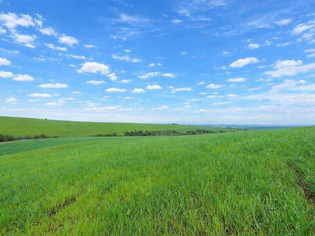 Foto do Fazenda - Canoinhas/SC, São Mateus do Sul/ PR/ Fazenda 528,56 há , 218 Alqueires, Plantando 400 hectares, Estuda PERMUTA, à venda, Paraná | Imobiliária GreenVille