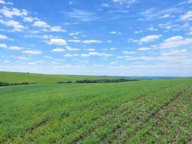 Foto do Fazenda - Canoinhas/SC, São Mateus do Sul/ PR/ Fazenda 528,56 há , 218 Alqueires, Plantando 400 hectares, Estuda PERMUTA, à venda, Paraná | Imobiliária GreenVille