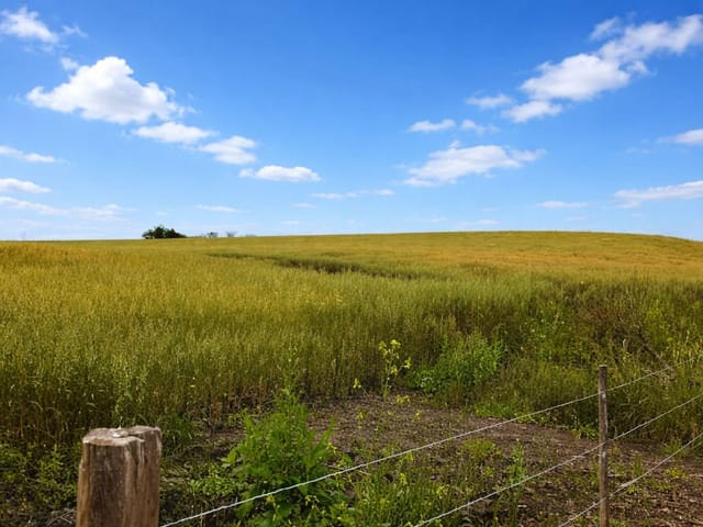 Foto do Fazenda - Canoinhas/SC /  528,56 hectares, 218 Alqueires, Plantando 400 hectares, à venda, Paraná | Imobiliária GreenVille