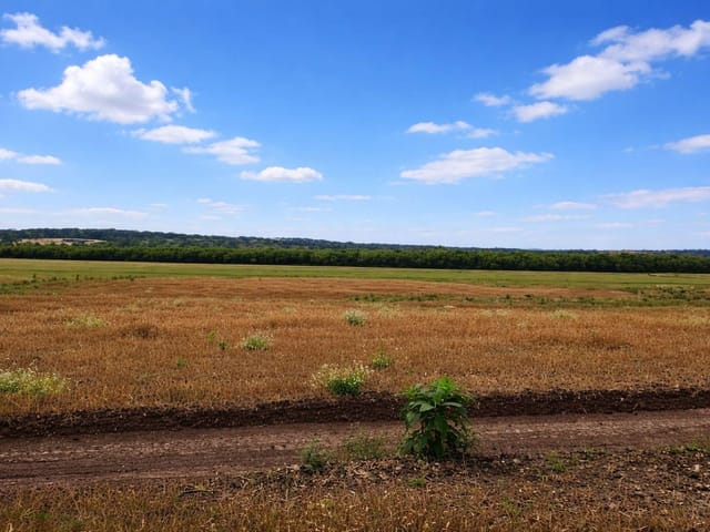 Foto do Fazenda - Canoinhas/SC /  528,56 hectares, 218 Alqueires, Plantando 400 hectares, à venda, Paraná | Imobiliária GreenVille
