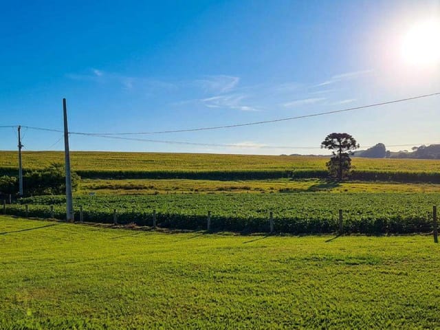 Foto do Fazenda - São João do Triunfo,Fazenda Com  Maquinário, 125 Alqueires, ou 302 Há, Dupla Aptidão Soja e Gado, à venda, PR | Imobiliária GreenVille