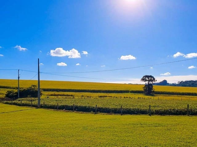 Foto do Fazenda - São Mateus do Sul, Fazenda C/ Maquinário,  125 Alqueires, ou 302 Há, Dupla Aptidão Soja e Gado, à venda, PR | Imobiliária GreenVille