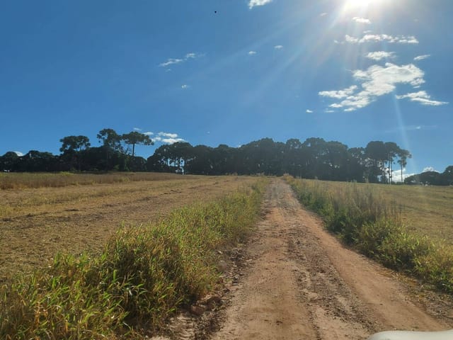 Fazenda com 499200m² 1 quarto e 1 banheiro, à venda, no bairro Zona Rural em Lapa