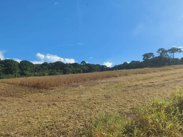 Fazenda com 499200m² 1 quarto e 1 banheiro, à venda, no bairro Zona Rural em Lapa