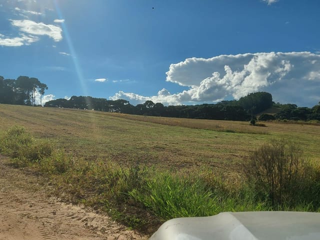 Foto do Fazenda - Lapa, Fazenda Extração de AREIA total estimado de 1.000.000 Toneladas,, 49.92 hectares ou 20,62 Alqueires à venda, Zona Rural, PR | Imobiliária GreenVille