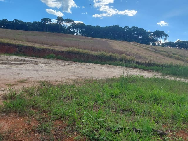 Fazenda com 499200m² 1 quarto e 1 banheiro, para alugar, no bairro Zona Rural em Lapa
