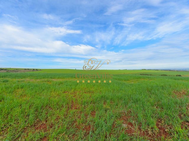 Foto do Fazenda - Lapa, Arrendamento Fazenda 115 Alqueires Plantio Batatas,  para locação, Zona Rural, PR | Imobiliária GreenVille