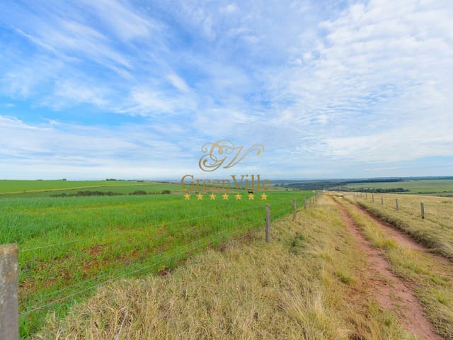 Foto do Fazenda - Lapa, Arrendamento Fazenda 115 Alqueires Plantio Batatas,  para locação, Zona Rural, PR | Imobiliária GreenVille