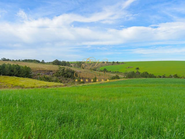Foto do Fazenda - Lapa, Arrendamento Fazenda 115 Alqueires Plantio Batatas,  para locação, Zona Rural, PR | Imobiliária GreenVille