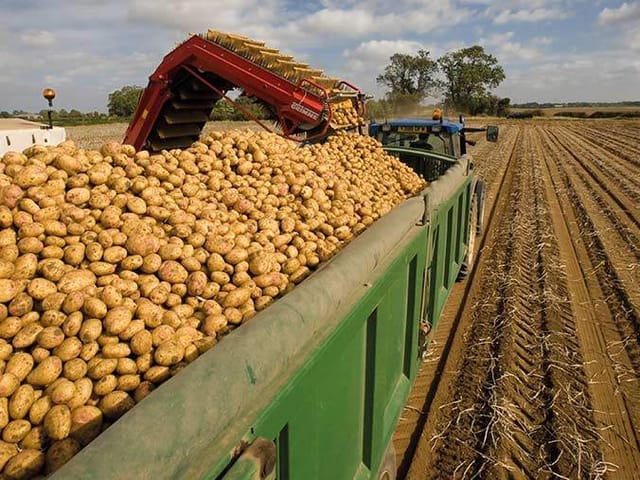 Fazenda com 2783000m² 1 quarto e 1 banheiro, para alugar, no bairro Zona Rural em Lapa