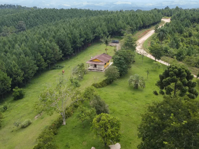 Foto do Fazenda - Campo Largo/ Três Córregos,Fazenda 96 Hectares+ Reflorestamento + Lago + Alto Potencial de Renda, à venda, Santa Cruz, PR | Imobiliária GreenVille