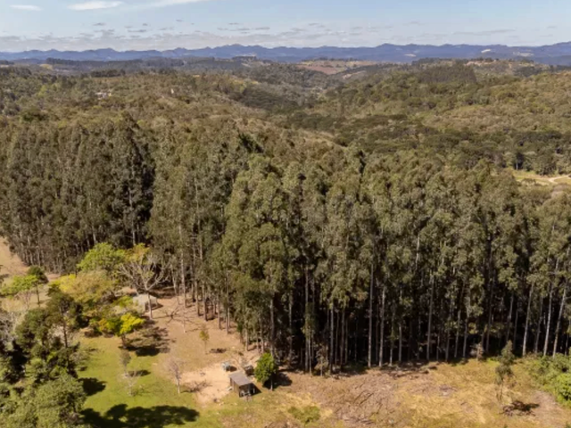 Foto do Fazenda - Campo Largo/ Três Córregos,Fazenda 96 Hectares+ Reflorestamento + Lago + Alto Potencial de Renda, à venda, Santa Cruz, PR | Imobiliária GreenVille