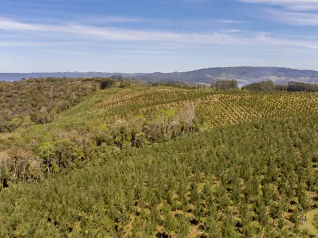 Foto do Fazenda - Campo Largo/ Três Córregos,Fazenda 96 Hectares+ Reflorestamento + Lago + Alto Potencial de Renda, à venda, Santa Cruz, PR | Imobiliária GreenVille
