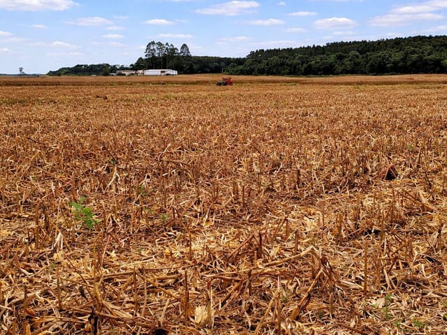Fazenda com 5285600m² 3 quartos e 3 banheiros, à venda, no bairro ZONA RURAL em Canoinhas
