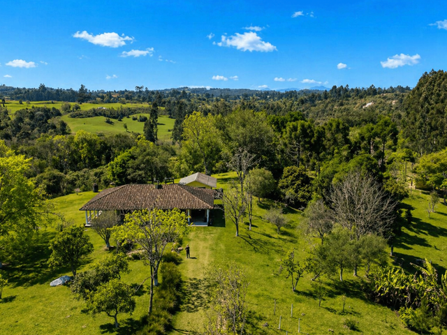 Fazenda com 960000m² 3 quartos e 3 banheiros, à venda, no bairro Santa Cruz em Campo Largo
