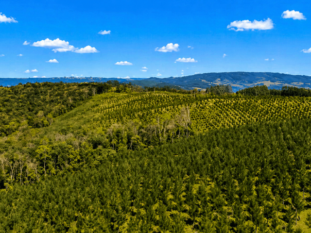 Fazenda com 960000m² 3 quartos e 3 banheiros, à venda, no bairro Santa Cruz em Campo Largo