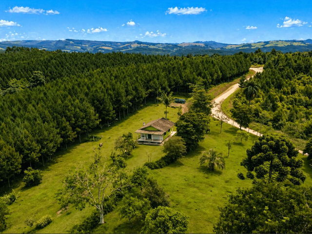 Fazenda com 960000m² 3 quartos e 3 banheiros, à venda, no bairro Santa Cruz em Campo Largo