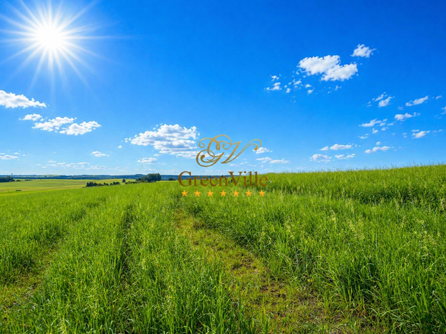 Fazenda com 3267000m² 1 quarto e 1 banheiro, à venda, no bairro Colônia Dona Luíza em Ponta Grossa