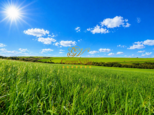 Fazenda com 3267000m² 1 quarto e 1 banheiro, à venda, no bairro Colônia Dona Luíza em Ponta Grossa