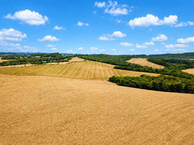Fazenda com 4480300m² 1 quarto e 1 banheiro, à venda, no bairro Zona Rural em Lapa