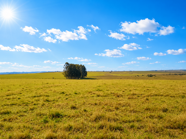 Fazenda com 390000m² 3 quartos e 10 banheiros, à venda, no bairro Zona Rural em Palmeira