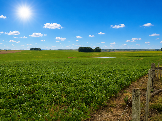 Fazenda com 390000m² 3 quartos e 10 banheiros, à venda, no bairro Zona Rural em Palmeira