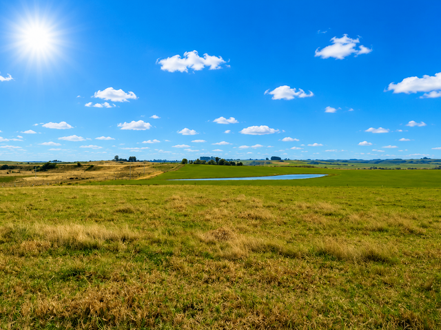 Fazenda com 390000m² 3 quartos e 10 banheiros, à venda, no bairro Zona Rural em Palmeira