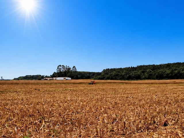 Fazenda com 5285600m² 3 quartos e 3 banheiros, à venda, no bairro ZONA RURAL em Canoinhas