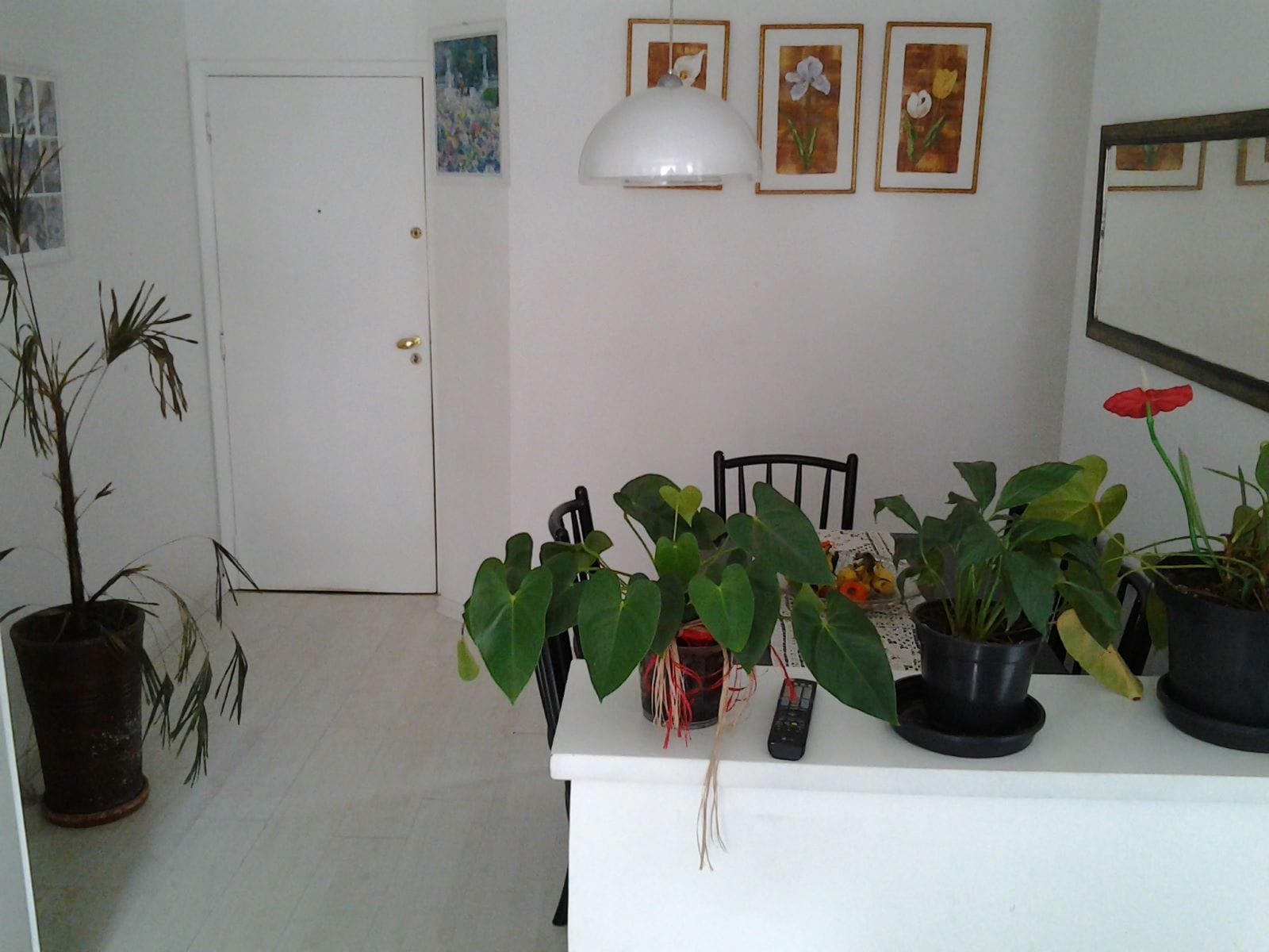 Flat/Apart Hotel à venda com 2 quartos, 70m² - Foto 4