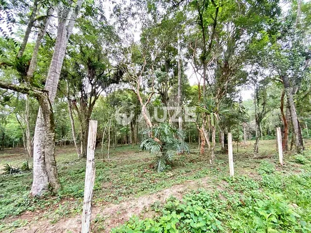 Galpão à venda, no bairro Cerro Azul em Cerro Azul