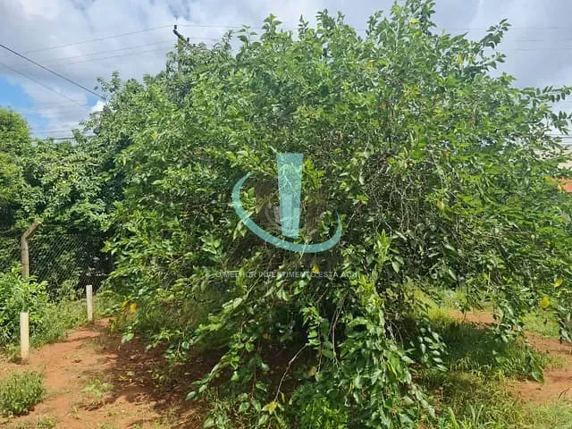Galpão com 1200m², à venda, no bairro JARDIM ROBERTO SELMI DEI em ARARAQUARA