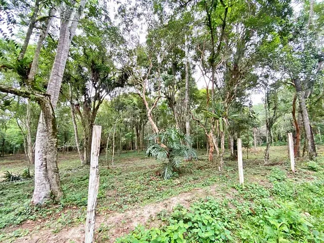 Galpão à venda, no bairro Cerro Azul em Cerro Azul