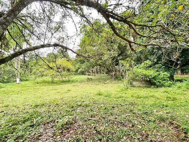 Galpão à venda, no bairro Cerro Azul em Cerro Azul