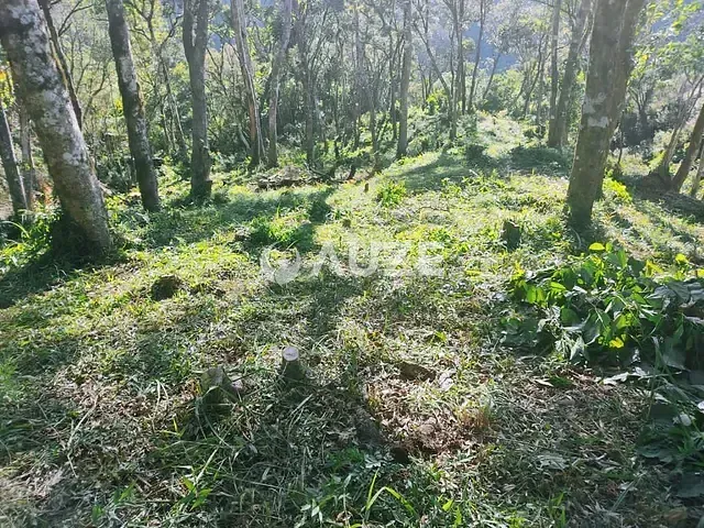 Galpão à venda, no bairro Centro em Balsa Nova